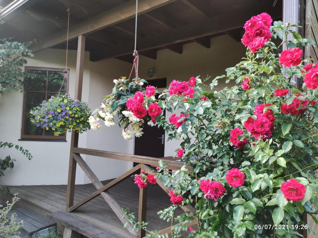 Boutigue City House With Terrace And Garden Free Parking Ρίγα Εξωτερικό φωτογραφία