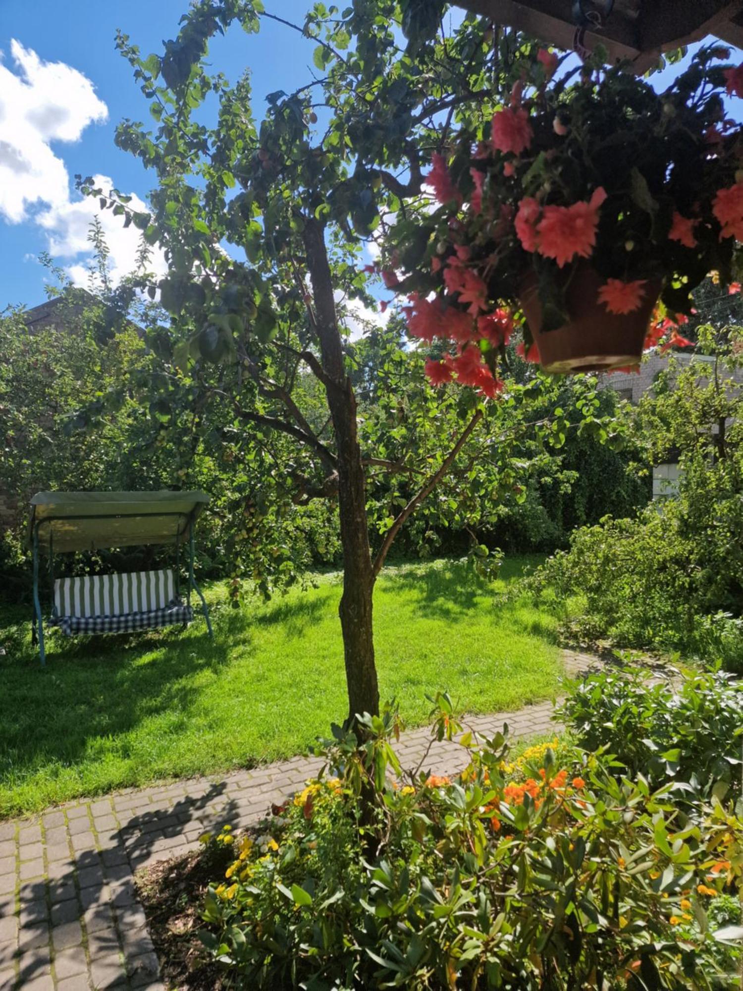 Boutigue City House With Terrace And Garden Free Parking Ρίγα Εξωτερικό φωτογραφία
